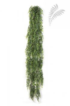 BOSTON FERN HANGING BUSH 140 1400XL