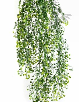 Preview: BABY TEAR HANGING BUSH X5 1418N