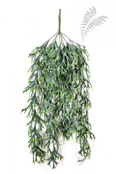 Staghorn Hanging Vine Bush 80cm 1419N