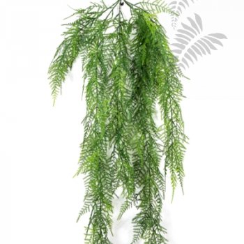 Preview: Asparagus Hanging Vine 75cm 1421N
