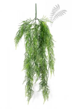 Asparagus Hanging Vine 75cm 1421N
