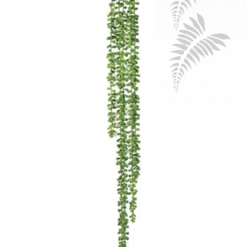 Preview: STRING OF PEARLS HANGING BUSH 1424N