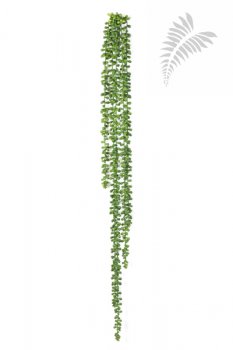 STRING OF PEARLS HANGING BUSH 1424N