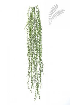 STRING OF SMALL PEARLS 1425N