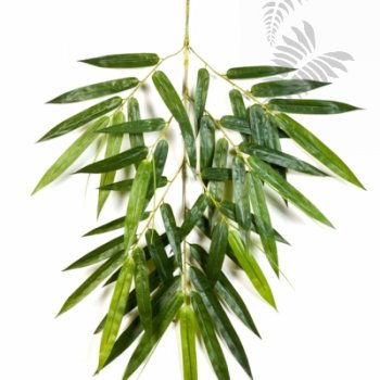 Preview: NEW GIANT BAMBOO SPRAY X 49 1485N