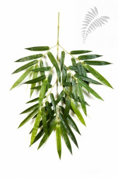 NEW GIANT BAMBOO SPRAY X 49 1485N