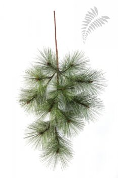 NEEDLE PINE SPRAY X 11 1580N
