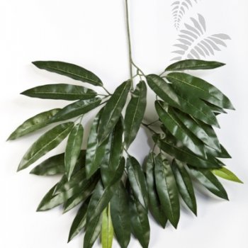 Preview: MANGO SPRAY X 41 LVS 1589N