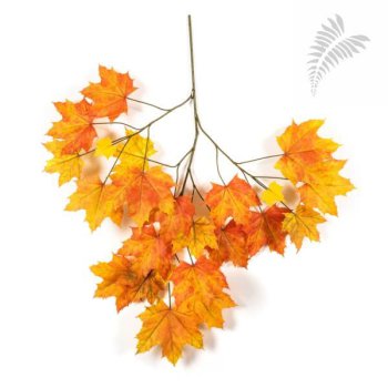 Autumn Sugar Maple FR 80cm 1592NR-FR