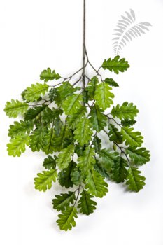 OAK SPRAY WITH FRUITS 1595N