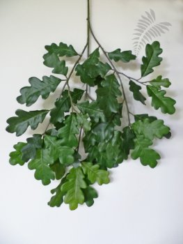 FR COMMON OAK SPRAY 42cm 1597FR