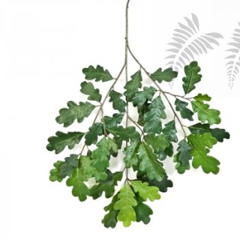 Preview: COMMON OAK SPRAY 60cm 1597N