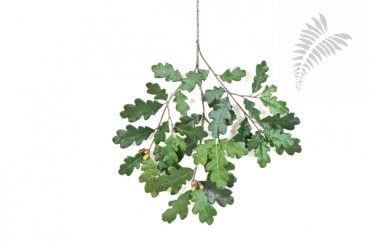 Common oak spray with fruits 60cm 1598N