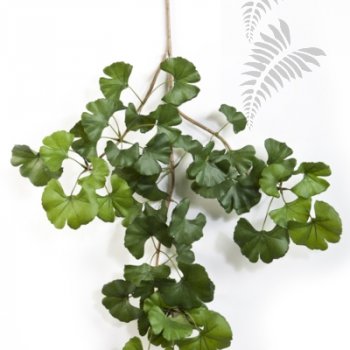 Preview: FR SWEET GINKGO SPRAY X52 1603FR