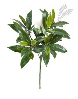 LAUREL SPRAY X 63 LVS - UV 1612UV