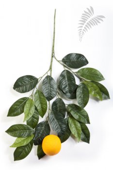 ORANGE SPRAY WITH LARGE FRUIT 1634N