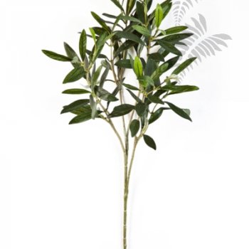 FR NATURAL OLIVE SPRAY 1650FR