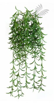SUCCULENT HANGING BUSH 45cm 1674N