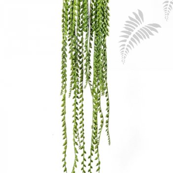 Preview: FR SENECIO HANGING BUSH 1678FR