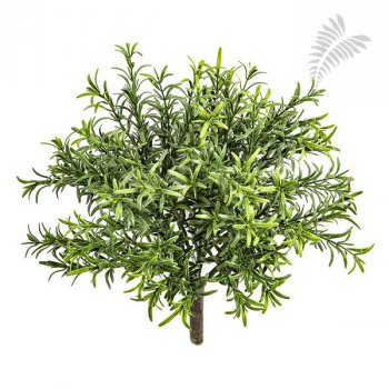 ROSEMARY BUSH - UV 1699UV