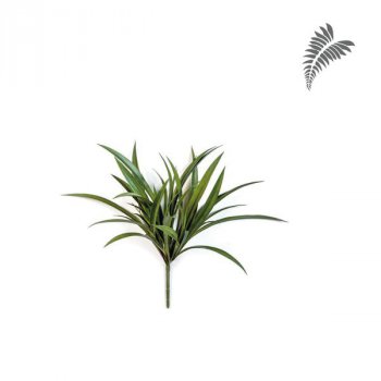 Liriope Grass Bunch UV 40cm 1715UV