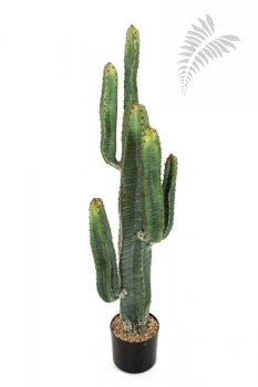 CEREUS CACTUS 115 CM X 6 1830N