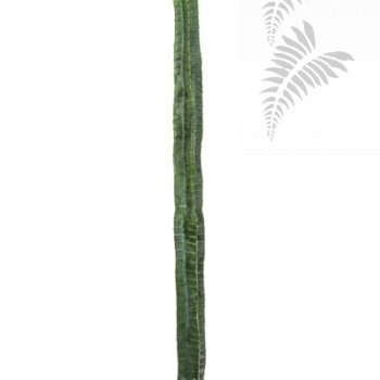 Preview: CEREUS COLUMN CACTUS 180 CM 1833N
