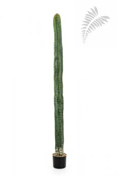 CEREUS COLUMN CACTUS 180 CM 1833N