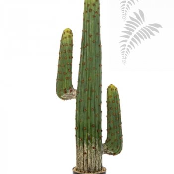 Preview: MEXICAN CACTUS 125 CM 1838N