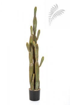 COLUMNAR CACTUS 150 CM 1841N