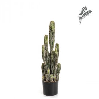 Column Cactus 76cm 1843N