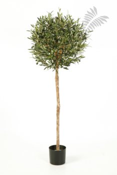 NATURAL OLIVE BALL TREE 140cm 27705N