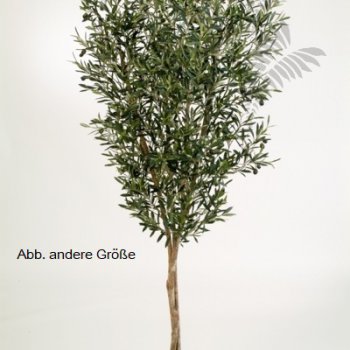 Preview: NATURAL OLIVE TREE W/F 120cm 28004N