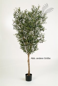 NATURAL OLIVE TREE W/F 150cm 28005N