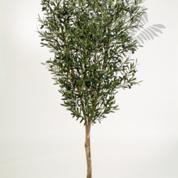 Preview: NATURAL OLIVE TREE W/F 180cm 28006N