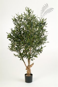 NAT. TWISTED OLIVE TREE W/F 120cm 28204N