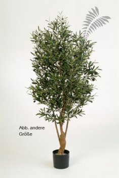 Nat Twisted Olive Tree w/fruits FR 180cm 28206N-FR