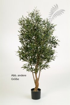 NAT. TWISTED OLIVE TREE W/F 180cm 28206N