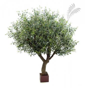 NAT. OLIVE TREE POLY TRUNK 7' 29007N