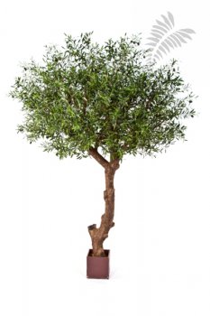 NAT. OLIVE TREE POLY TRUNK 29009N
