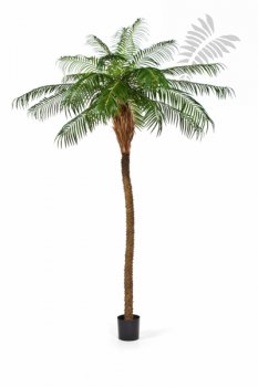PHOENIX PALM TREE 225cm 33007N