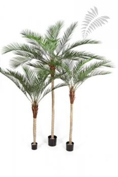 PHOENIX PALM PLASTIC LEAF 240cm 33108N
