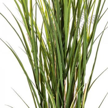 Preview: PLASTIC REED GRASS 165cm 33305N