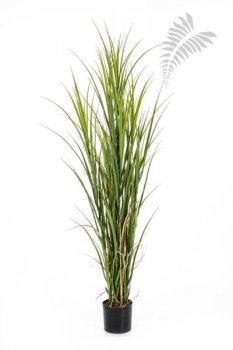 PLASTIC REED GRASS 165cm 33305N