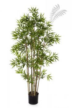 JAPANESE BAMBOO 140cm 34005N