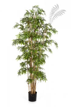 NEW JAPANESE BAMBOO 170cm 34106N