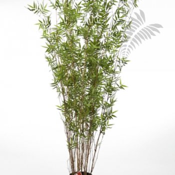 Preview: ORIENTAL BAMBOO TREE 190cm 34206N