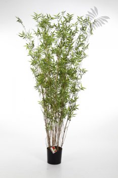 ORIENTAL BAMBOO TREE 190cm 34206N