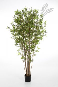 JAPANESE ORIENTAL BAMBOO 180cm 34306N