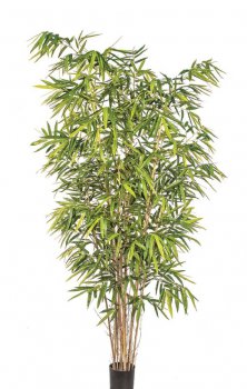NEW BAMBOO BIG LEAF 240cm 34508N